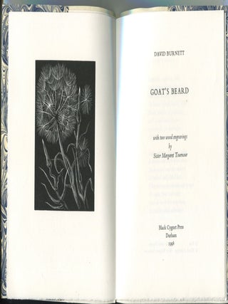 Goat's Beard