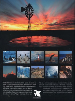 Patagonia