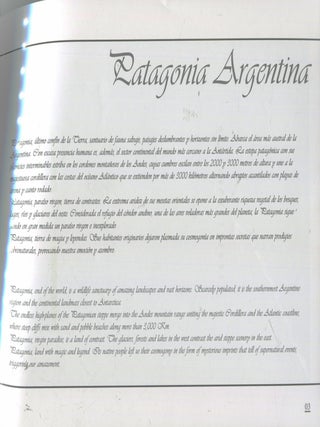 Patagonia