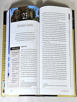 The New Testament in Its World; an introduction to the history, literature, and theology of the first Christians