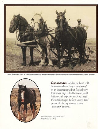 Facts and Legends; behind the McCulloch Peaks mustangs