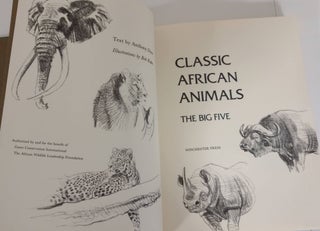 Classic African Animals; the big five